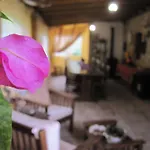 Bed & Breakfast La Pietra Rara 3*