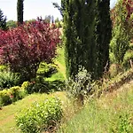 La Pietra Rara Bed & Breakfast Montone (Umbria)