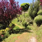 Bed & Breakfast La Pietra Rara Montone (Umbria)