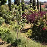 Bed & Breakfast La Pietra Rara 3*