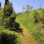 La Pietra Rara