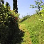 La Pietra Rara Montone (Umbria)