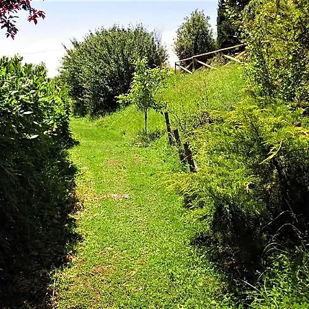 La Pietra Rara 蒙托内