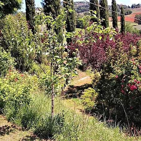 La Pietra Rara