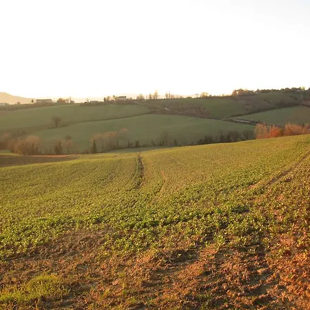 La Pietra Rara 3*