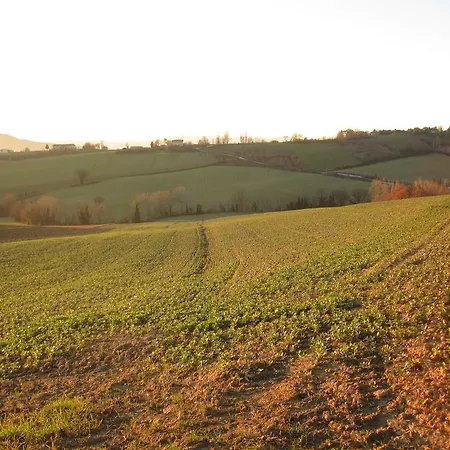 La Pietra Rara *