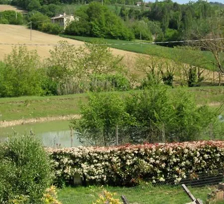 La Pietra Rara Montone (Umbria)