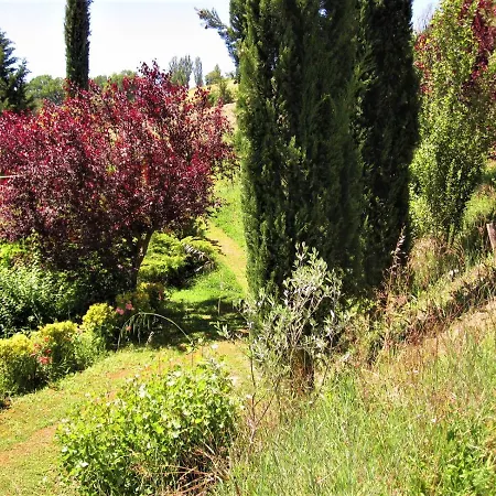 La Pietra Rara Frühstückspension Montone (Umbria)