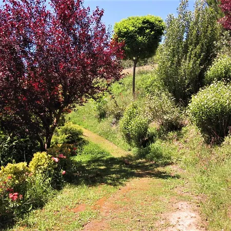 Bed & Breakfast La Pietra Rara Montone (Umbria)