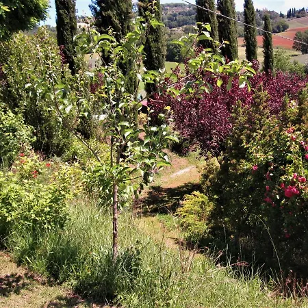 Bed and Breakfast La Pietra Rara 3*