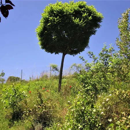 La Pietra Rara 3*
