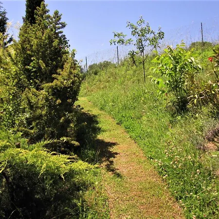 La Pietra Rara