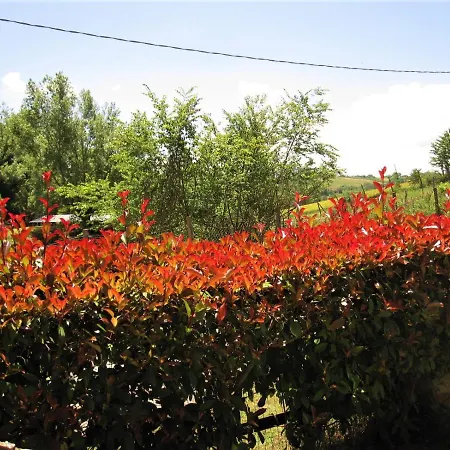 La Pietra Rara Bed and breakfast