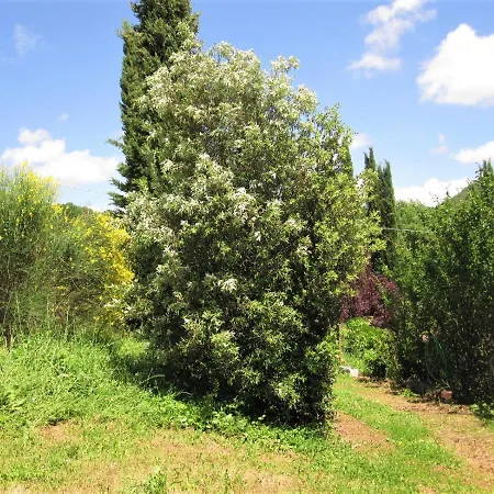 La Pietra Rara Montone (Umbria)