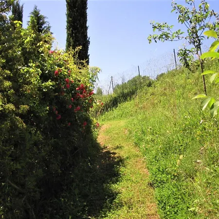 La Pietra Rara Montone (Umbria)