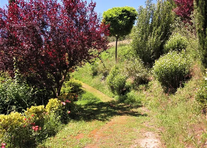 Bed & Breakfast La Pietra Rara Montone (Umbria)