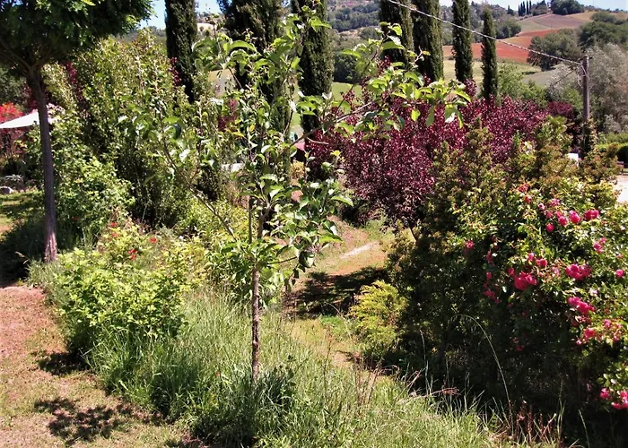 Bed & Breakfast La Pietra Rara 4*