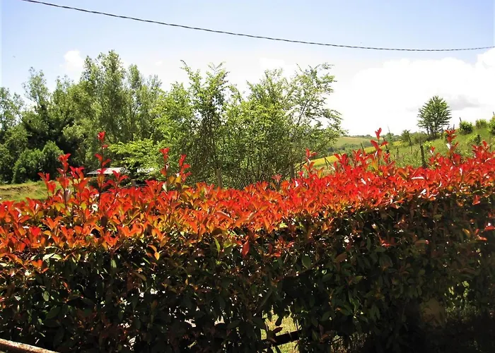 La Pietra Rara Bed & Breakfast