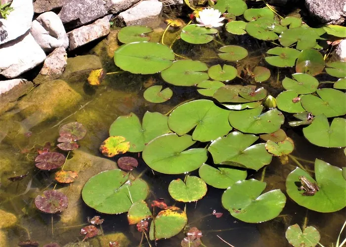 La Pietra Rara Bed & Breakfast