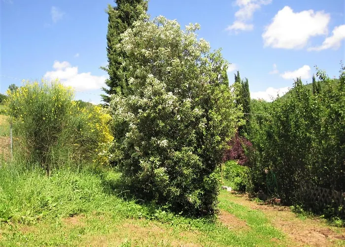 La Pietra Rara Montone (Umbria)