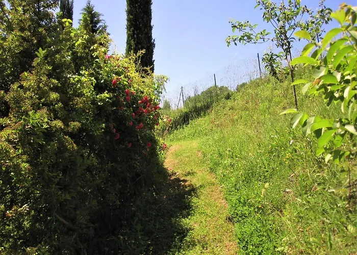 La Pietra Rara Montone (Umbria)